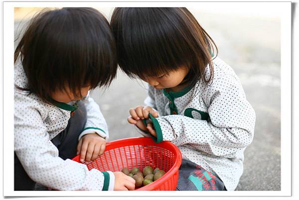 IMG_0299_resize_resize