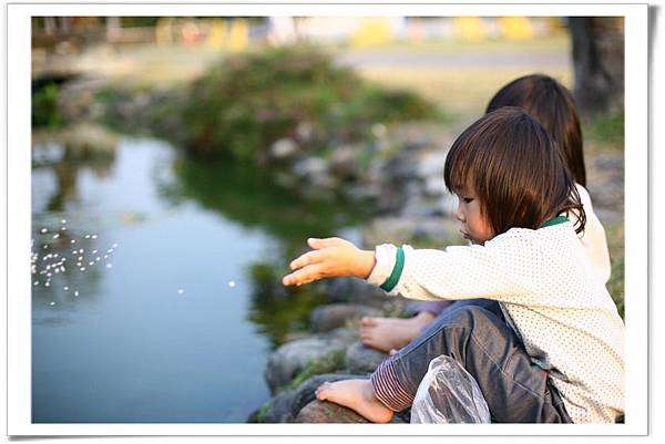 IMG_3442_resize IMG_3442_resize