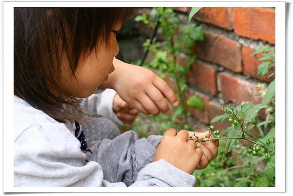 IMG_3551_resize IMG_3551_resize