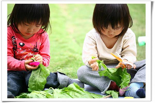 IMG_3739_resize IMG_3739_resize