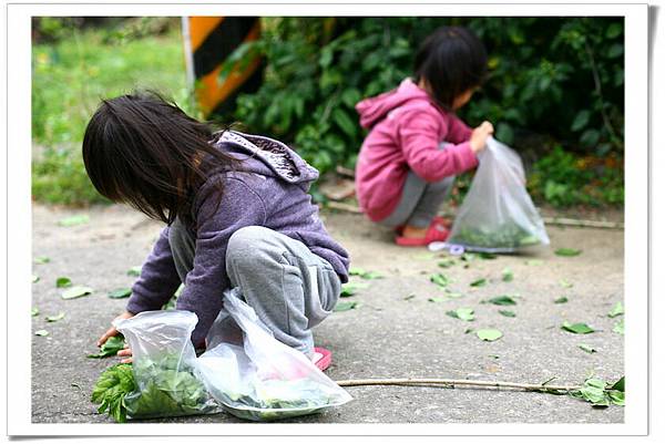 IMG_3914_resize IMG_3914_resize