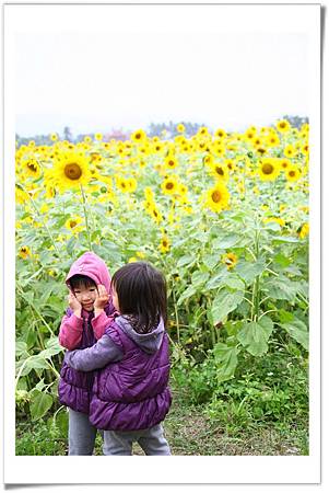 IMG_5838_resize IMG_5838_resize