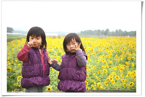 IMG_5980_resize IMG_5980_resize