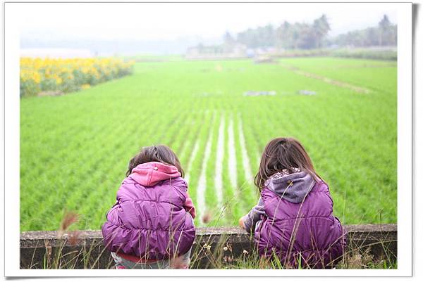 IMG_6026_resize IMG_6026_resize