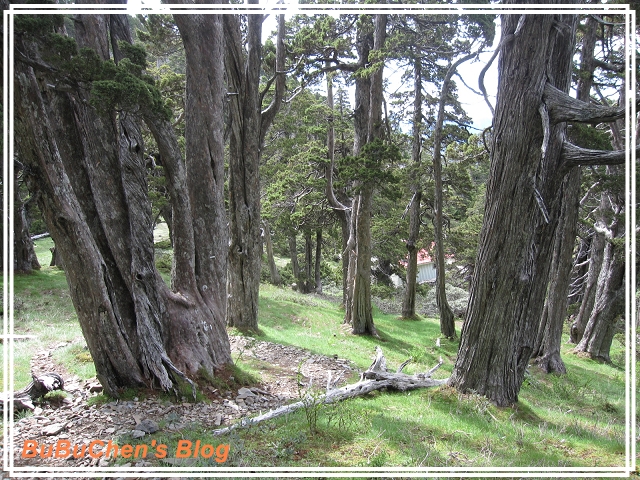 PhotoCap_112.jpg PhotoCap_112.jpg