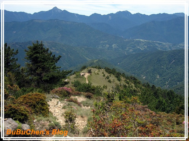 PhotoCap_PhotoCap_PhotoCap_照片 462.jpg PhotoCap_PhotoCap_PhotoCap_照片 462.jpg