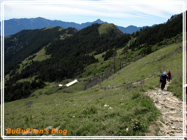 PhotoCap_PhotoCap_PhotoCap_照片 441.jpg PhotoCap_PhotoCap_PhotoCap_照片 441.jpg