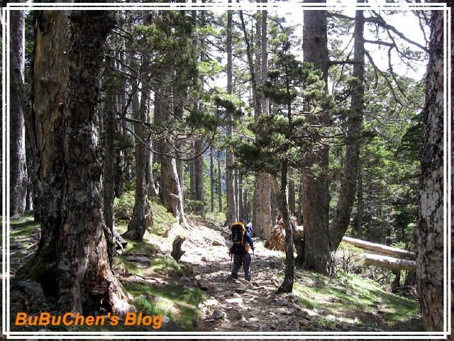 PhotoCap_PhotoCap_PhotoCap_照片 433.jpg PhotoCap_PhotoCap_PhotoCap_照片 433.jpg