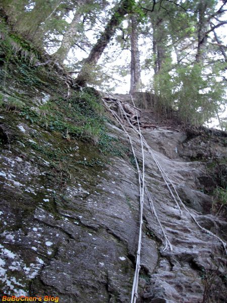 DSC 209.jpg DSC 209.jpg