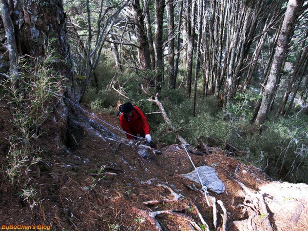 dsc 100.jpg dsc 100.jpg