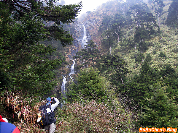pic 148.jpg pic 148.jpg