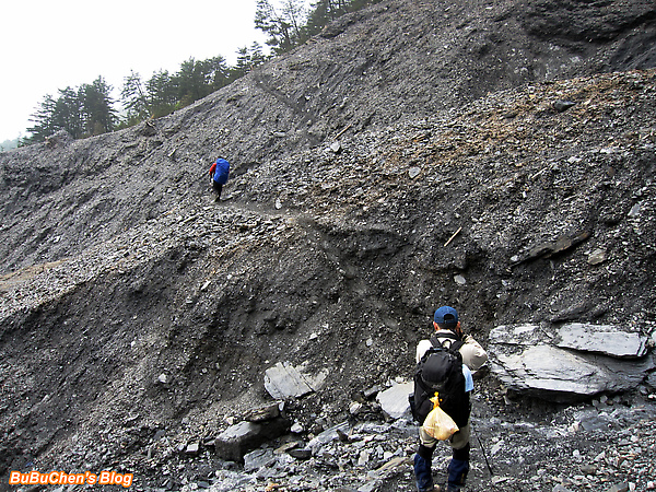 pic 270.jpg pic 270.jpg