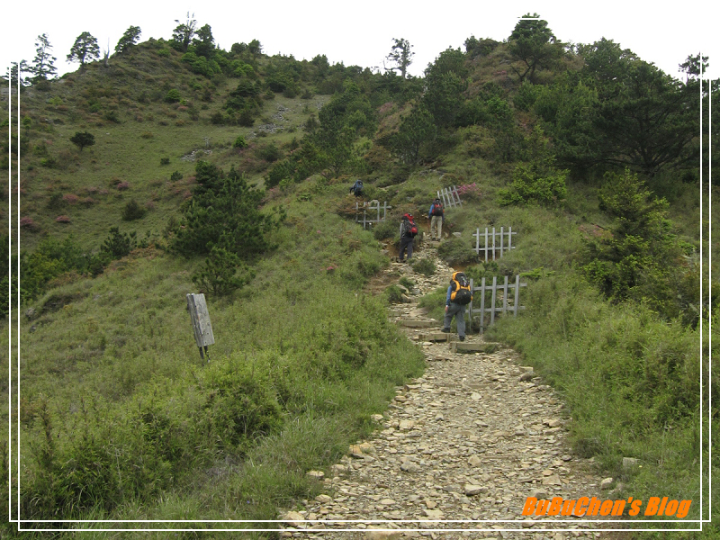 P23.jpg P23.jpg