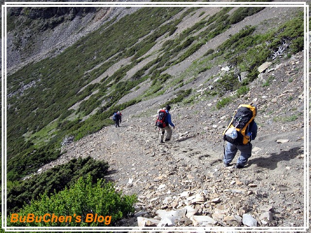 PhotoCap_PhotoCap_PhotoCap_照片 421.jpg PhotoCap_PhotoCap_PhotoCap_照片 421.jpg