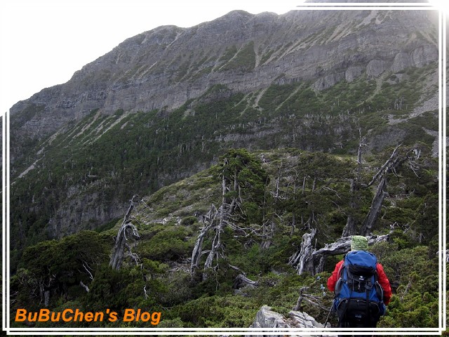 PhotoCap_PhotoCap_PhotoCap_照片 399.jpg PhotoCap_PhotoCap_PhotoCap_照片 399.jpg