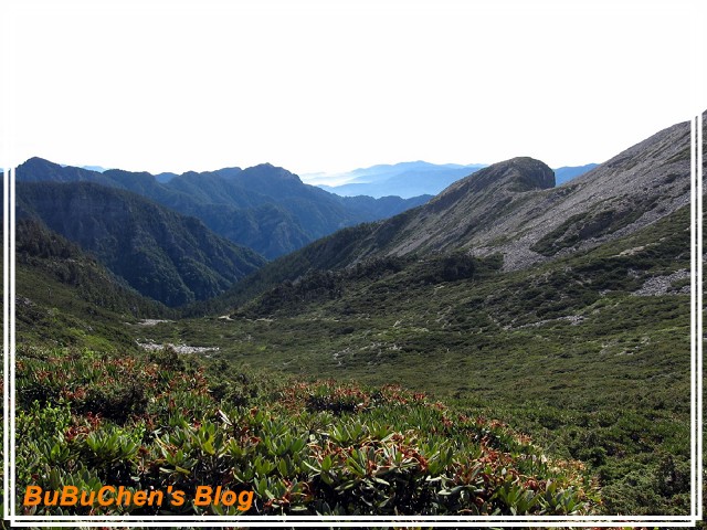 PhotoCap_PhotoCap_PhotoCap_照片 425.jpg PhotoCap_PhotoCap_PhotoCap_照片 425.jpg