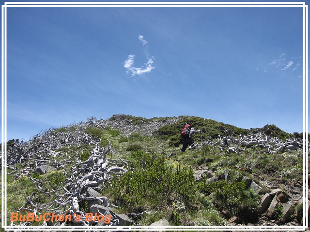 PhotoCap_056.jpg PhotoCap_056.jpg
