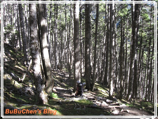 PhotoCap_018.jpg PhotoCap_018.jpg