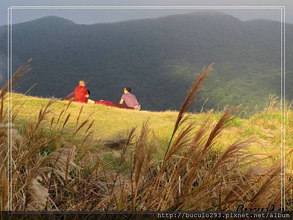 擎天崗、石梯嶺 446.JPG