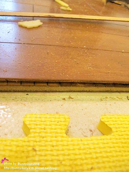 IMG_1698.JPG IMG_1698.JPG