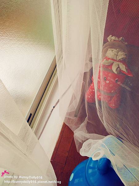 IMG_1784.JPG IMG_1784.JPG