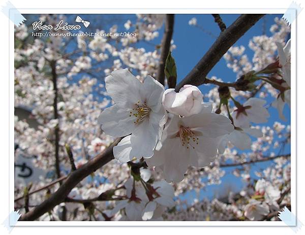 IMG_7679 IMG_7679