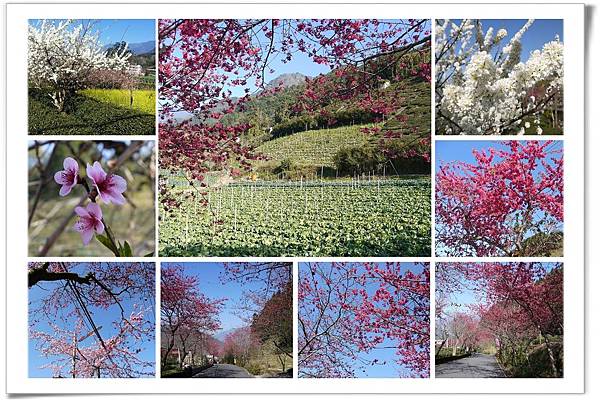 草坪62.jpg 草坪62.jpg