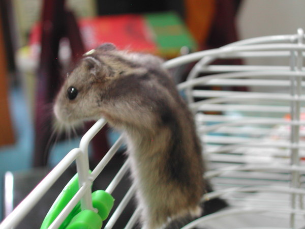 寶貝，要小心啊ˊˇˋ