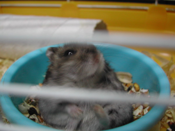 你的坐姿好笑哈XD