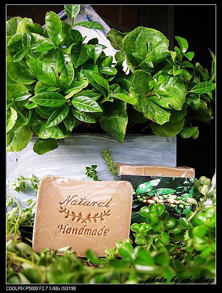 DSCN2711.jpg DSCN2711.jpg