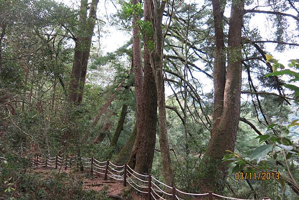 IMG_2541.JPG IMG_2541.JPG