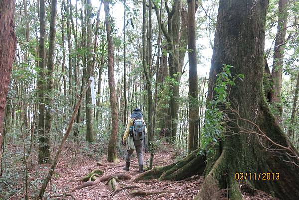 IMG_2595.JPG IMG_2595.JPG