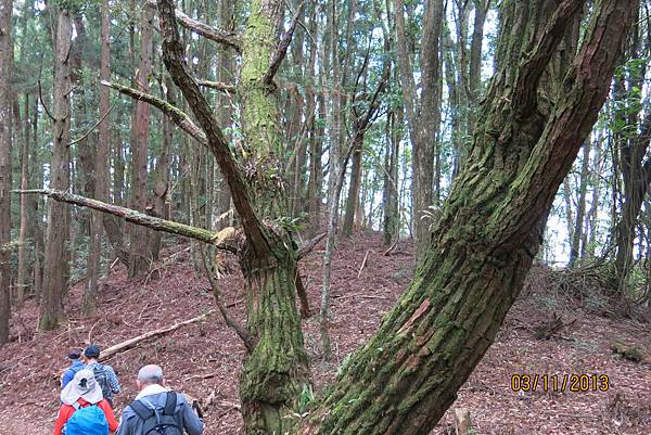 IMG_2613.JPG IMG_2613.JPG