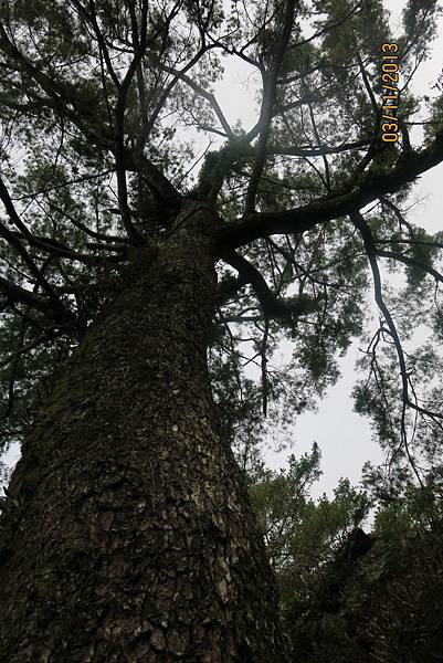 IMG_2620.JPG IMG_2620.JPG