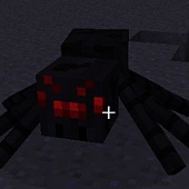 蜘蛛