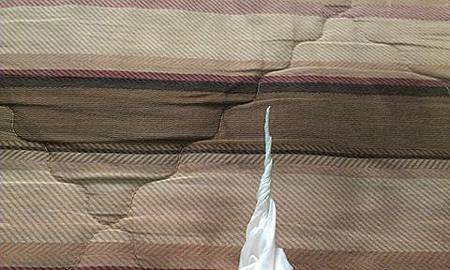 264592_469478173133924_966664082_n