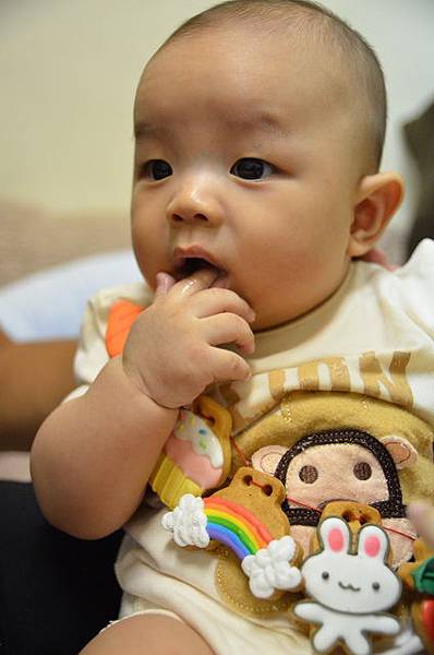 DSC_6689.jpg DSC_6689.jpg