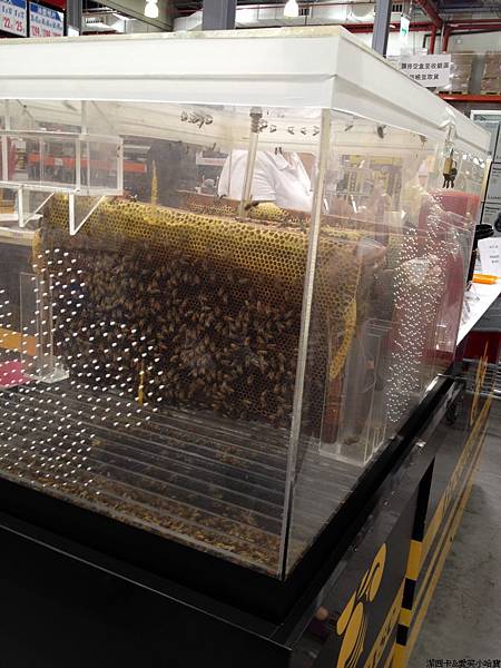 nEO_IMG_IMG_9566 nEO_IMG_IMG_9566