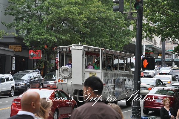 DSC_0129.jpg DSC_0129.jpg