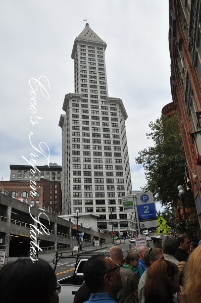 DSC_0157.jpg DSC_0157.jpg