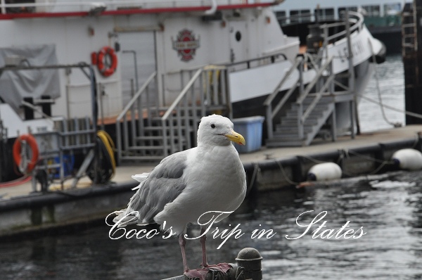 DSC_0199.jpg DSC_0199.jpg