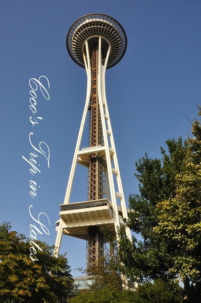 DSC_0240.jpg DSC_0240.jpg