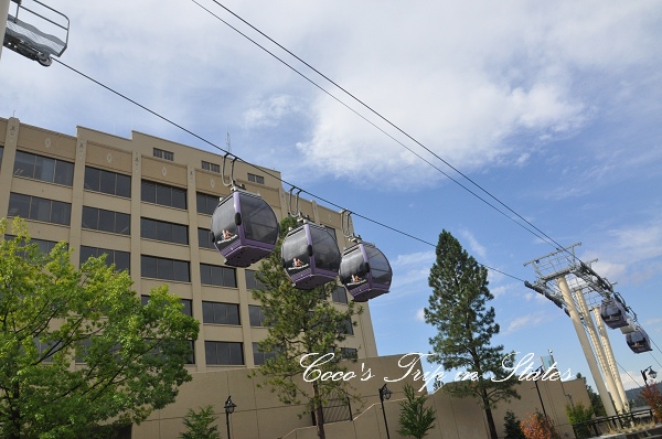 DSC_0444.jpg DSC_0444.jpg