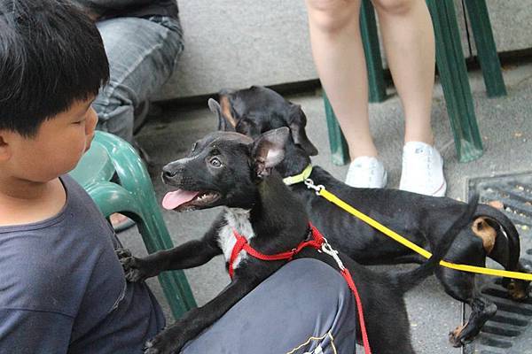 BRT試乘-2 BRT試乘-2