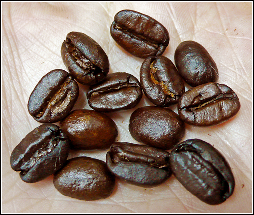 挑豆範例(好豆)大圖.jpg 挑豆範例(好豆)大圖.jpg