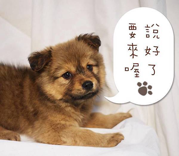 419438_404424629584064_117386641621199_1621148_2036143724_n