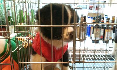 C360_2012-03-10-13-27-00