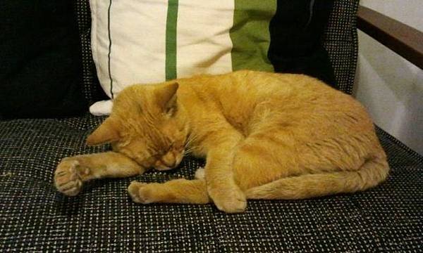 539428_183616925091512_104132109706661_286940_319520164_n