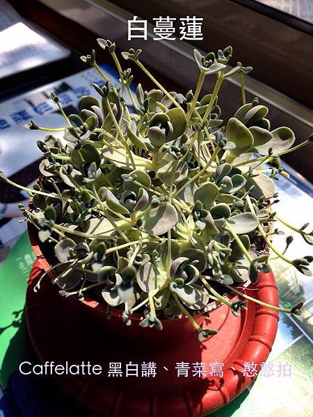 11009932_10152699258442337_3624062374420403183_n