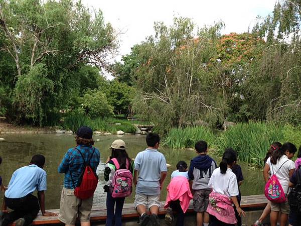 kids look at pond